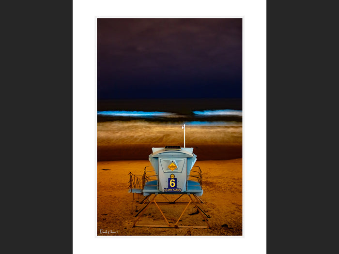 Bioluminescence II