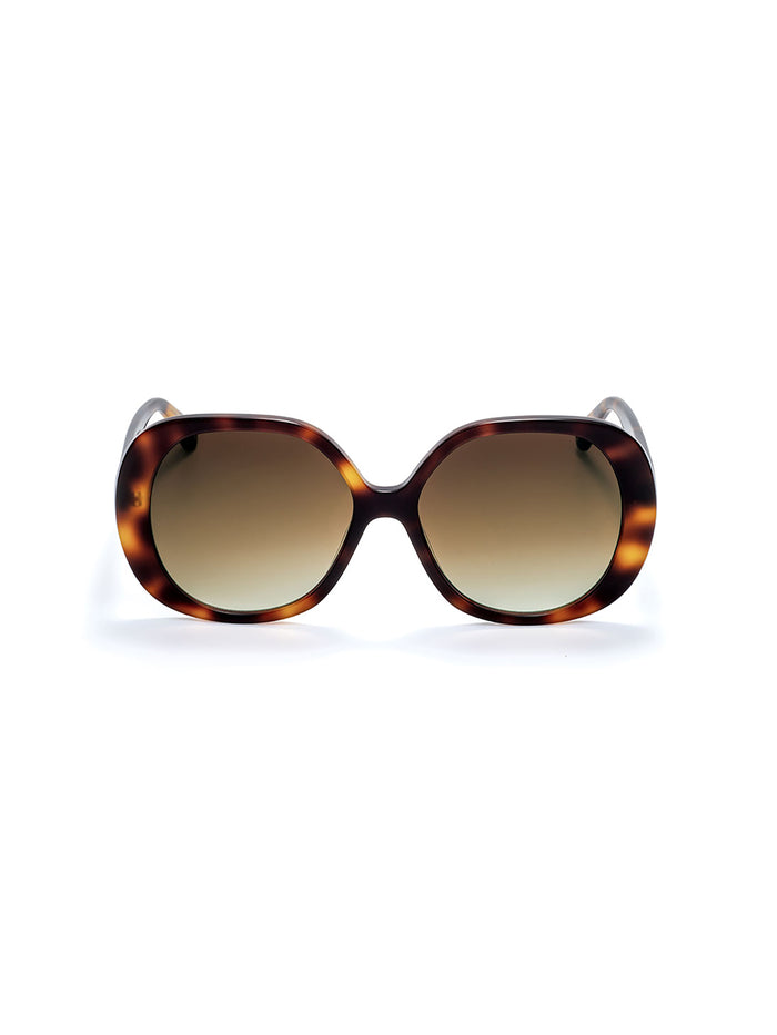 Óculos de sol One Box Powerful Castanho - OSBHS4551TCC321H