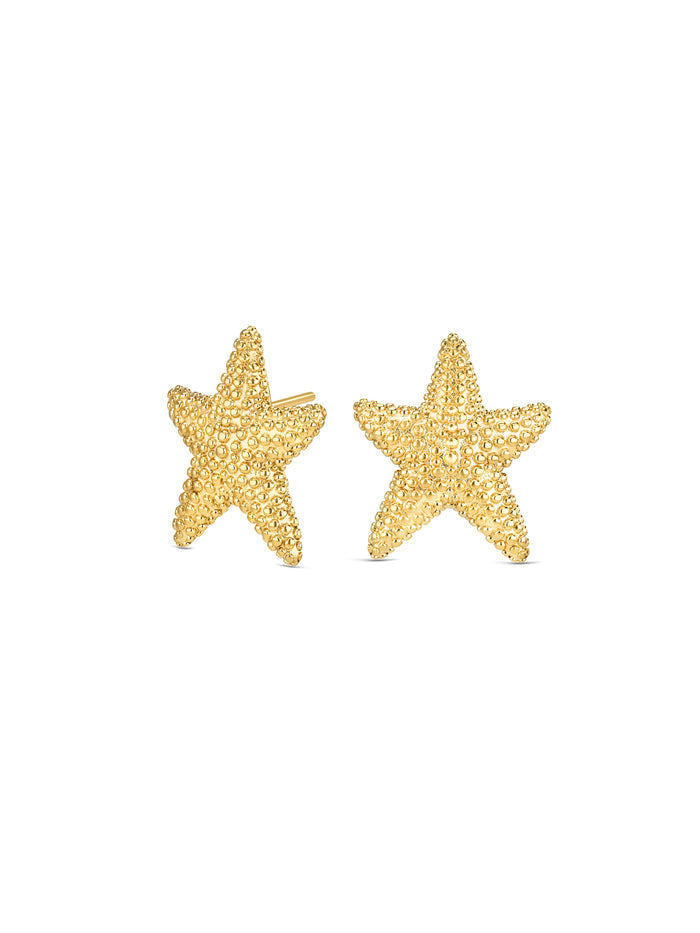 Brincos One Sunny Star