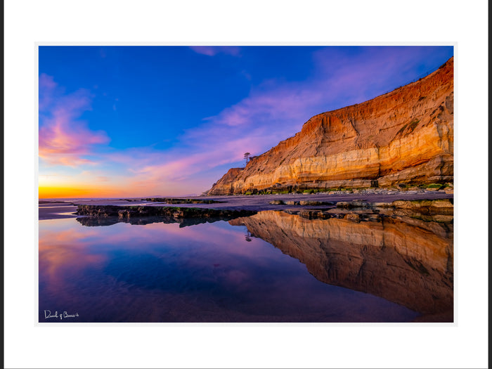 Del Mar Reflections
