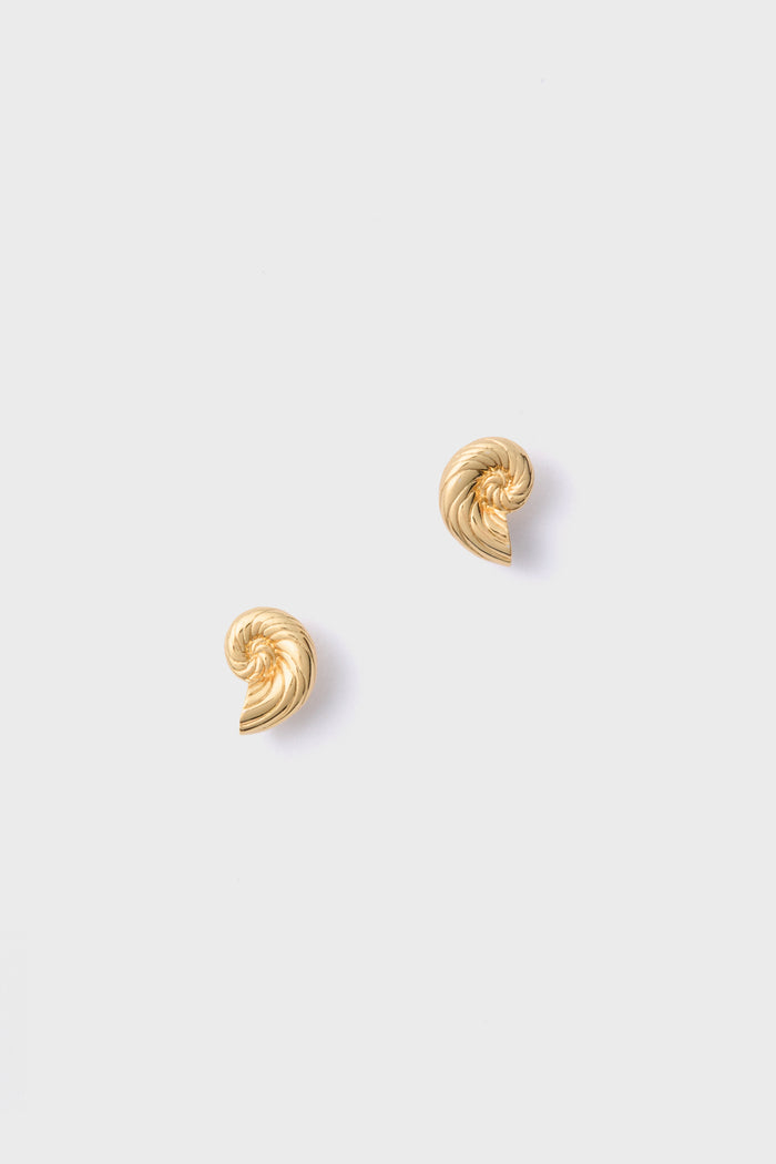 Gold Nautilus Shell Stud Earrings