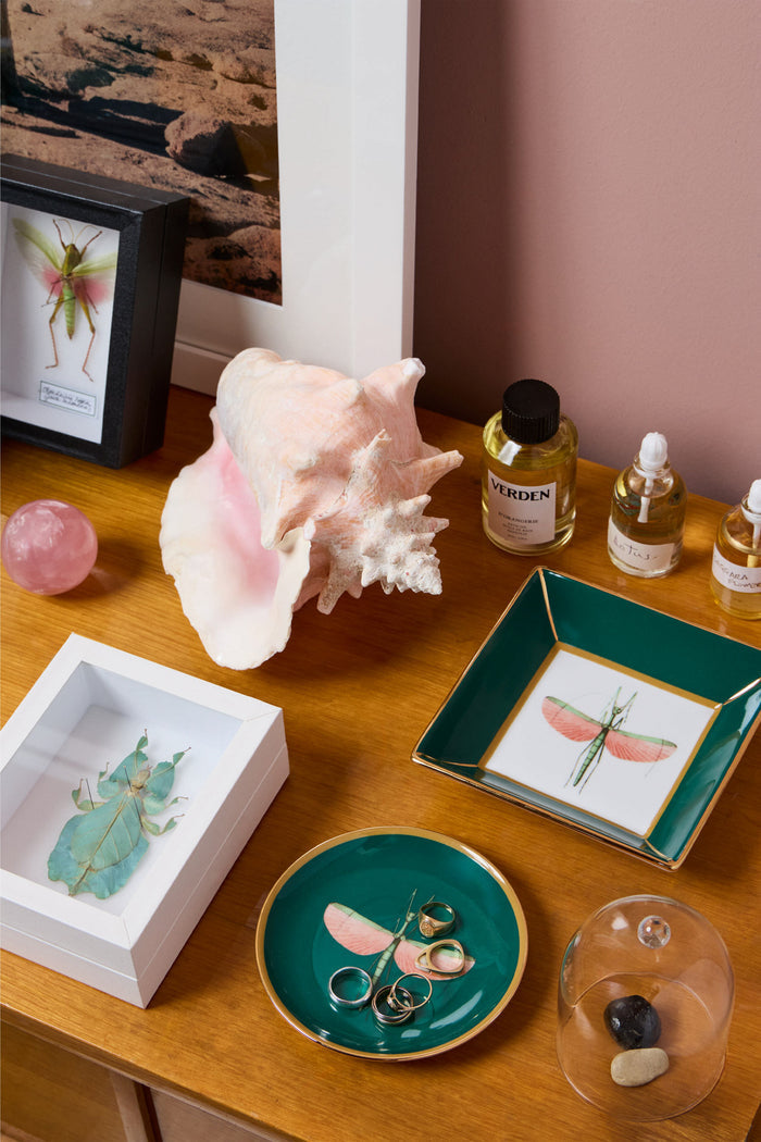 Libellula Trinket Tray