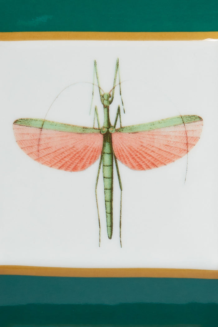 Libellula Trinket Tray