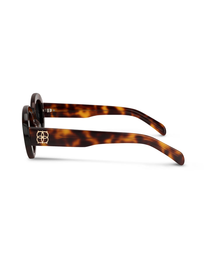 Óculos de Sol One Dolce Castanho - OSHS5572CVC351H