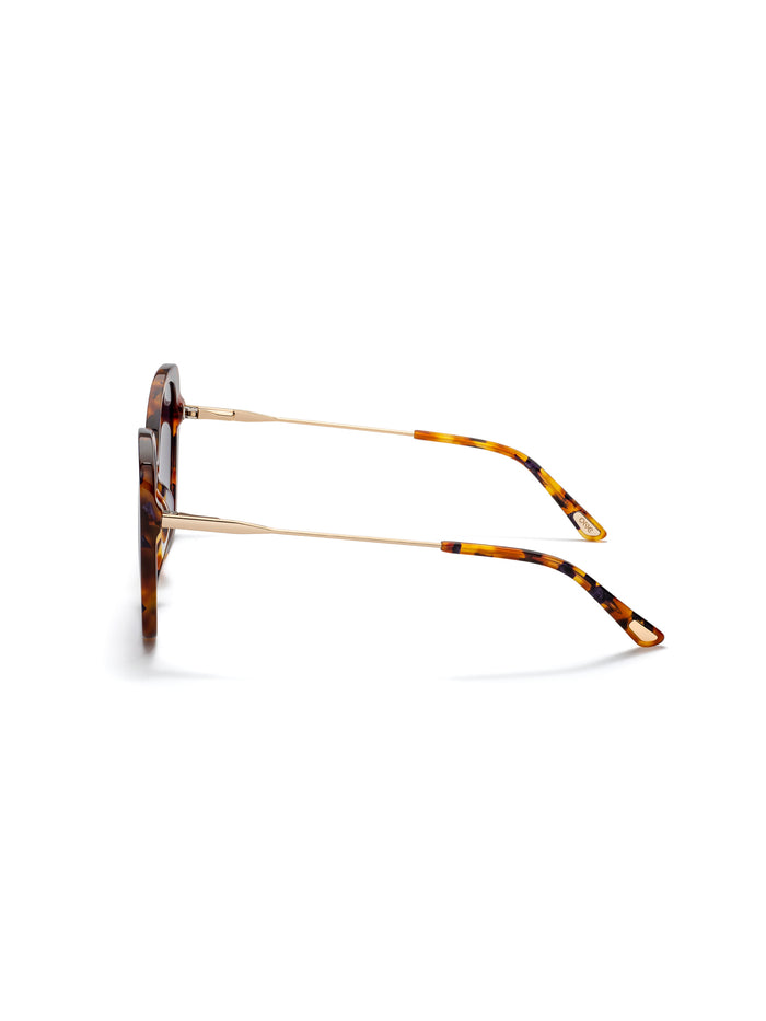 Óculos de Sol One Preppy Castanho