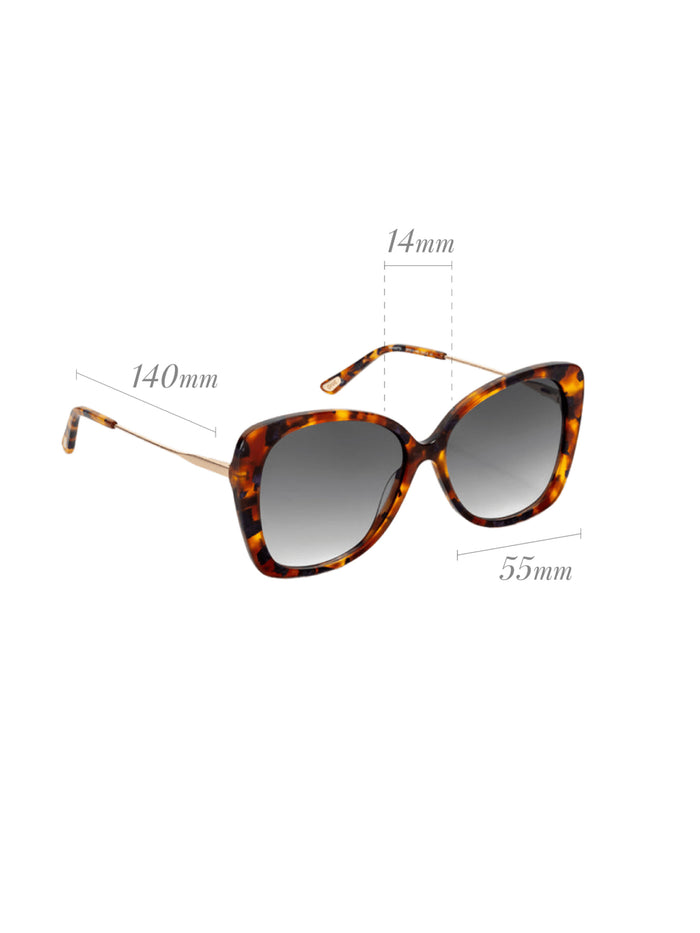 Óculos de Sol One Preppy Castanho
