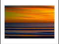 Pacific Bushstrokes