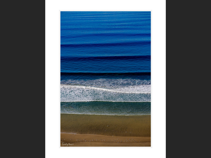 Pacific Pastels