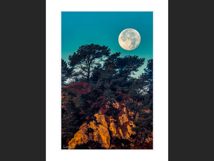 Torrey Moon