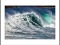 Winter Swell