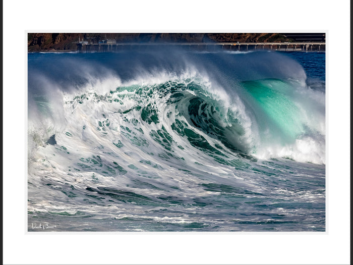 Winter Swell