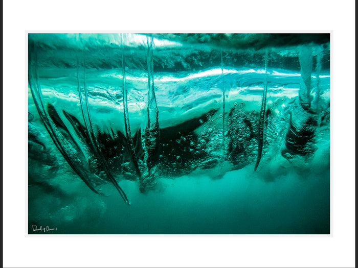Winter Vortex